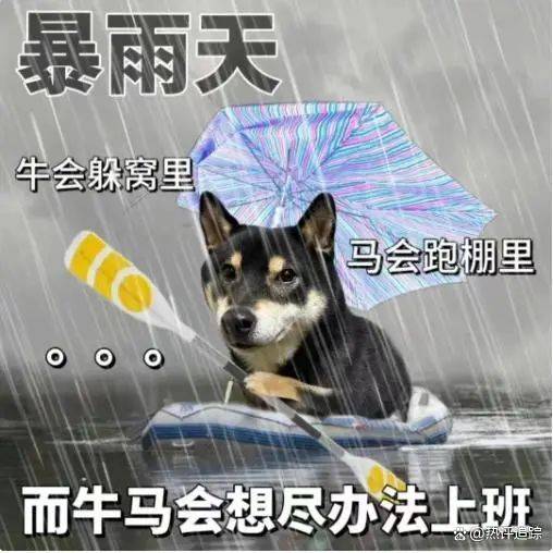 暴雨！大暴雨！深圳开启“集中倒水”模式，广东或有5波……