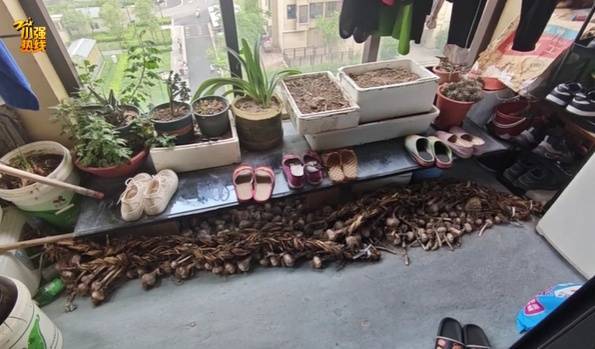 “被偷光了！”浙江有人报警，民警上门一看惊呆：整整100多斤…
